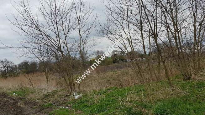 Okazja Działki Leszno k/Błonia