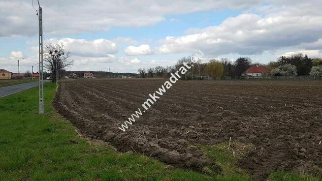 Okazja Działki Leszno k/Błonia