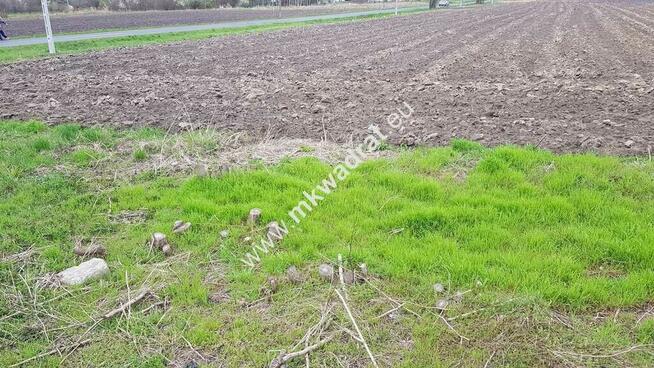 Okazja Działki Leszno k/Błonia