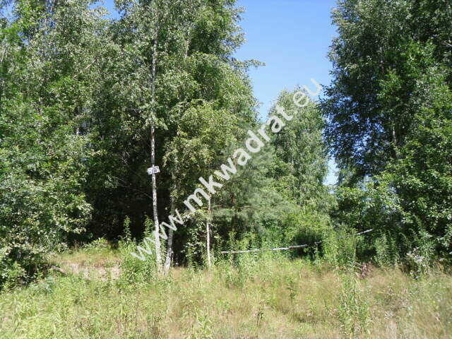 Działka budowlana w bliskim sąsiedztwie natury.