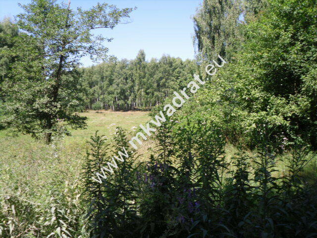 Działka budowlana w bliskim sąsiedztwie natury.