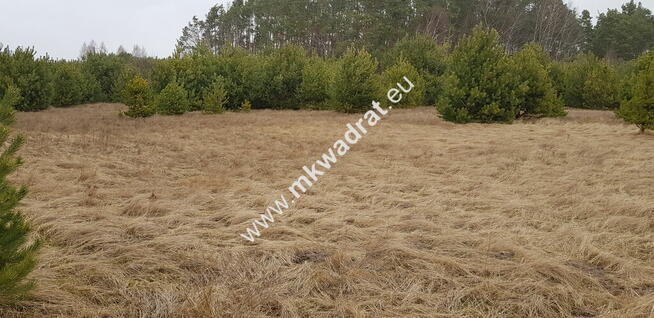 Działka z dojazdem od ulicy gminnej