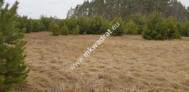 Działka z dojazdem od ulicy gminnej