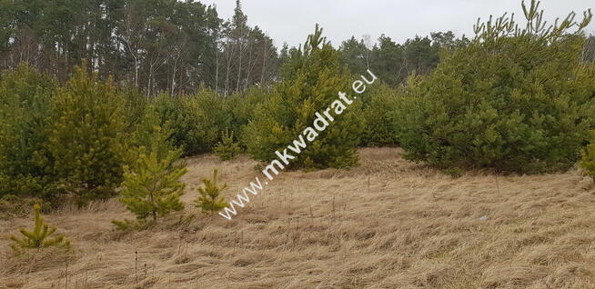 Działka z dojazdem od ulicy gminnej