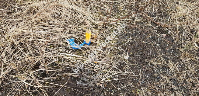 Działka z dojazdem od ulicy gminnej