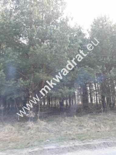 Możl podziału na 2 | Okazja! | Objęta MpZP | Super