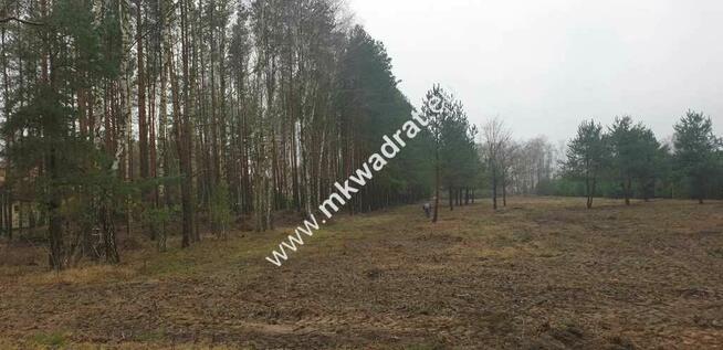 MPZP | Wszystkie media | Działki po 1000m2 | Super