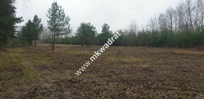 MPZP | Wszystkie media | Działki po 1000m2 | Super