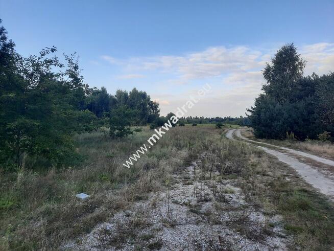 Działka rolna z możl. zabud. dobry dojazd do Wa-wy