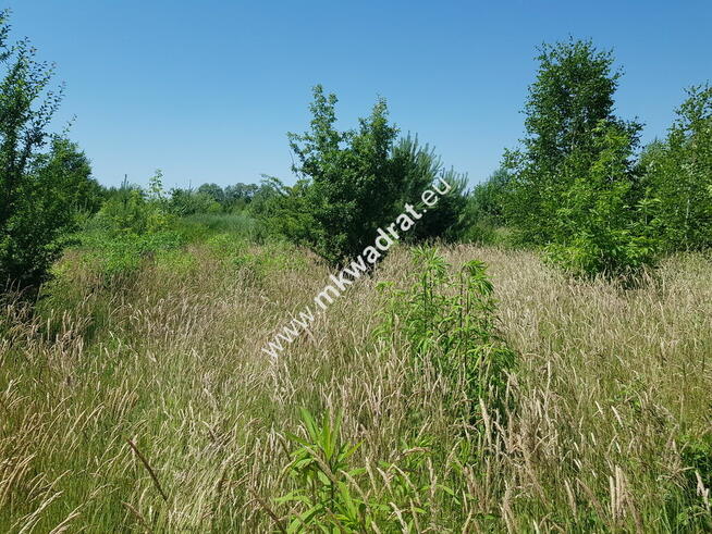 Działka w cichej okolicy MEDIA Las! Rzeka!