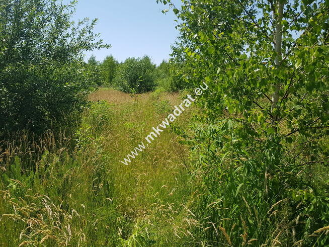 Działka w cichej okolicy MEDIA Las! Rzeka!