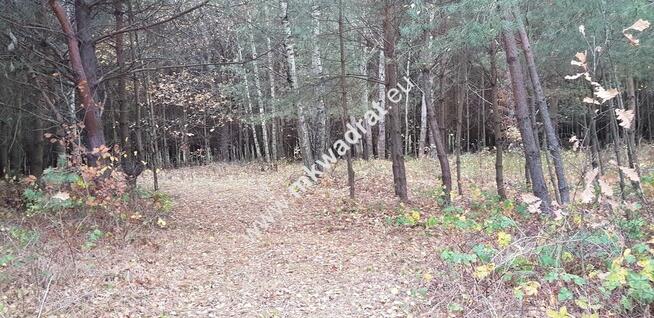 Malownicza działka siedliskowa 13.700m2