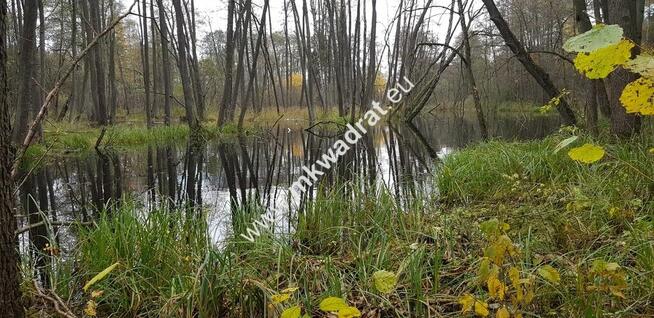 Malownicza działka siedliskowa 13.700m2