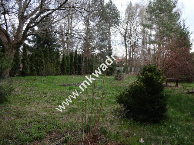 Dom w Podkowie Leśnej w centrum