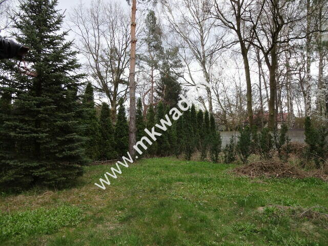 Dom w Podkowie Leśnej w centrum