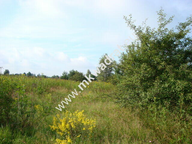 działki budowlane z planem zagospodarowania