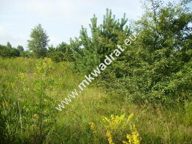 działki budowlane z planem zagospodarowania