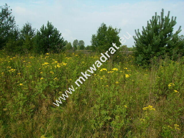 działki budowlane z planem zagospodarowania