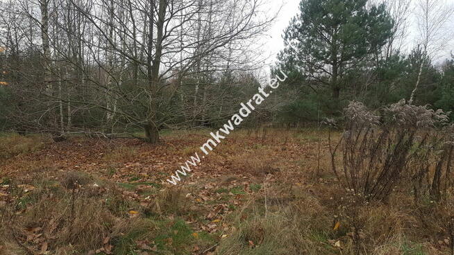 Atrakcyjna działka w Osowcu