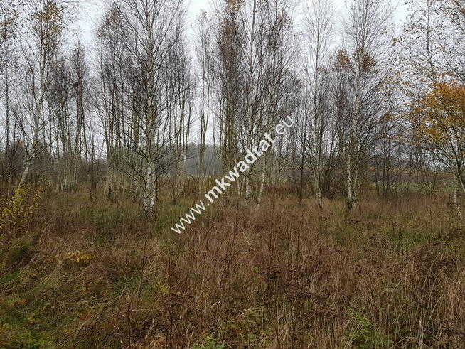 Działka urokliwa częściowo zadrzewiona.