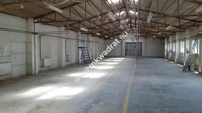 Biuro i hala w super lokalizacji.