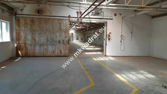 Biuro i hala w super lokalizacji.