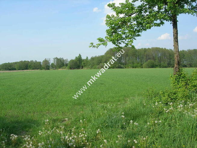 Działka inwestycyjna blisko Suntago i DK50