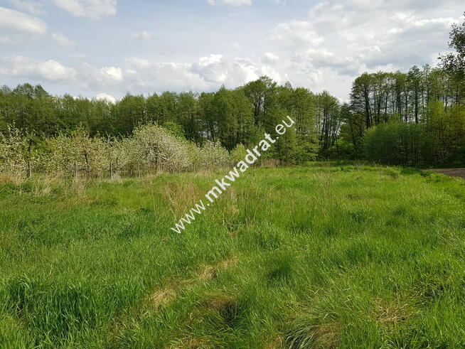 Działka z dostępem do rzeczki