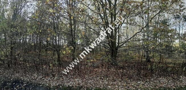 Atrakcyjna działka budowlana w Szczęsnym