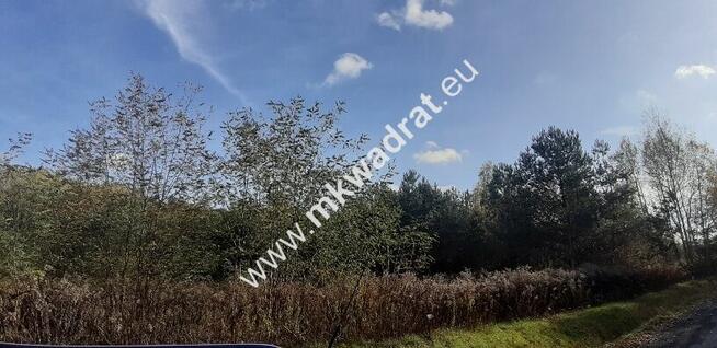 Atrakcyjna działka budowlana w Szczęsnym