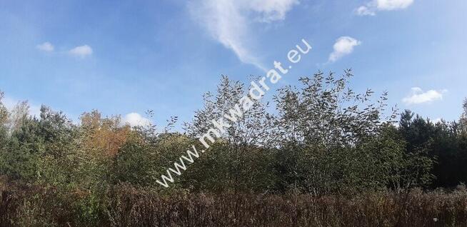 Atrakcyjna działka budowlana w Szczęsnym