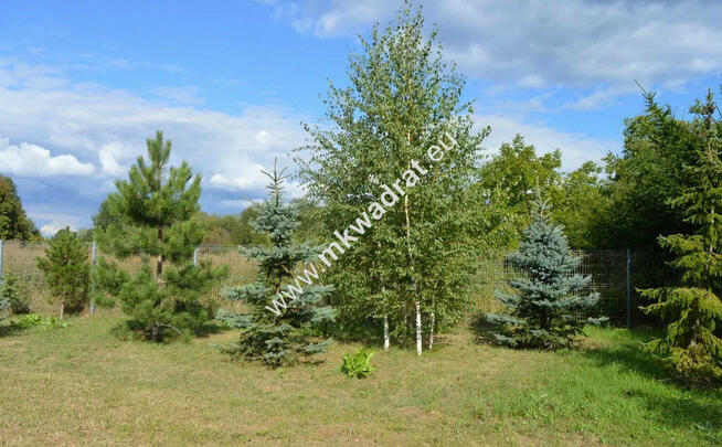 Atrakcyjna działka dla inwestora Wilanów