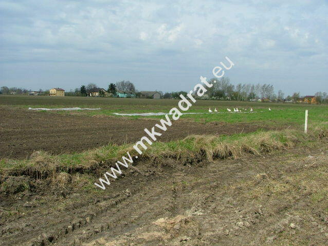 Atrakcyjna działka w cichej okolicy Niepokalanowa