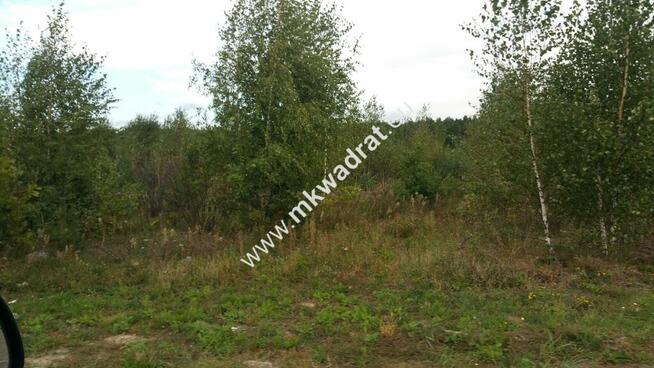 Piękny teren pod rzemiosło uciążliwe.