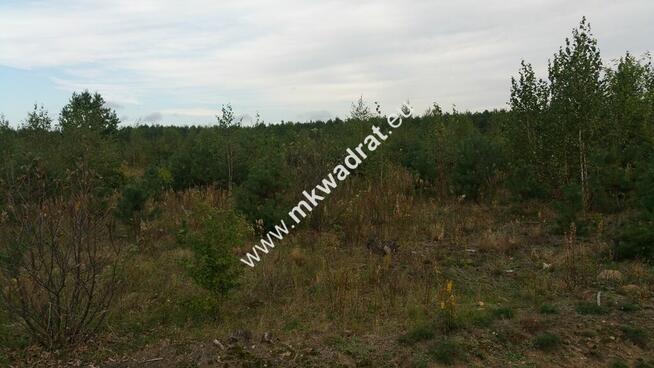 Piękny teren pod rzemiosło uciążliwe.