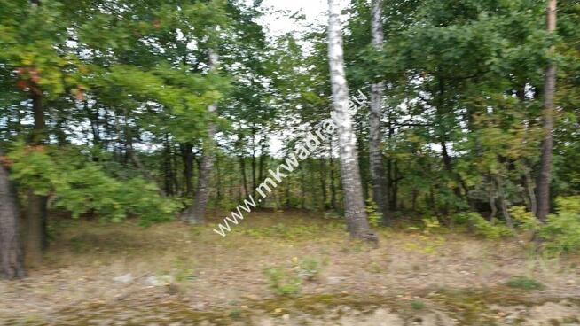 Piękny teren pod rzemiosło uciążliwe.