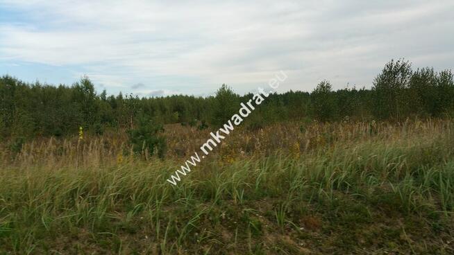 Piękny teren pod rzemiosło uciążliwe.