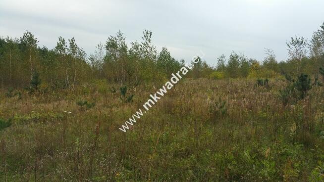 Piękny teren pod rzemiosło uciążliwe.