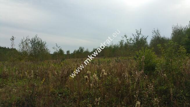 Piękny teren pod rzemiosło uciążliwe.