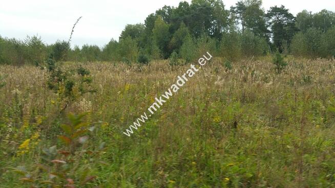 Piękny teren pod rzemiosło uciążliwe.