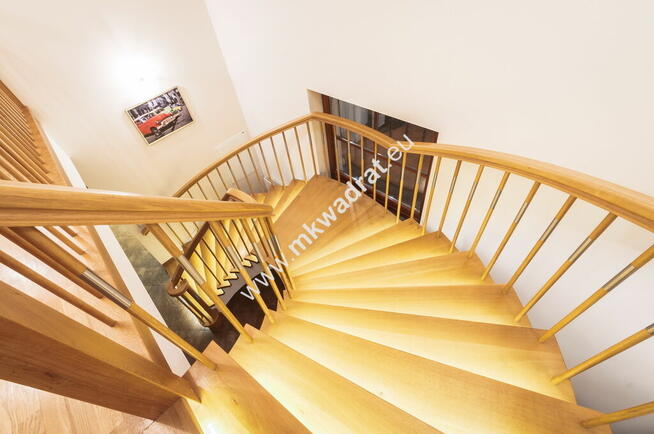 Rezydenja w otoczeniu lasu