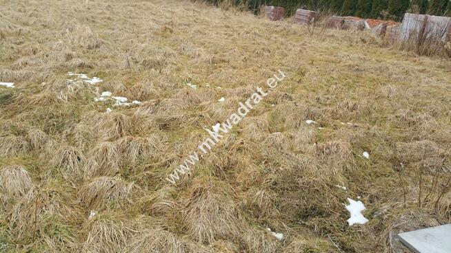 Duża, słoneczna, tania!