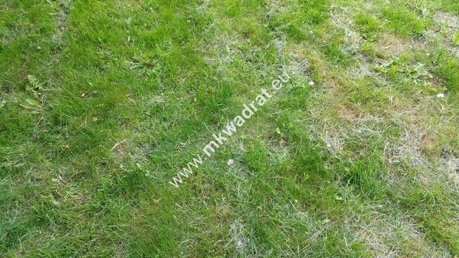 DZIAŁKA ROLNA -ok 20 ha