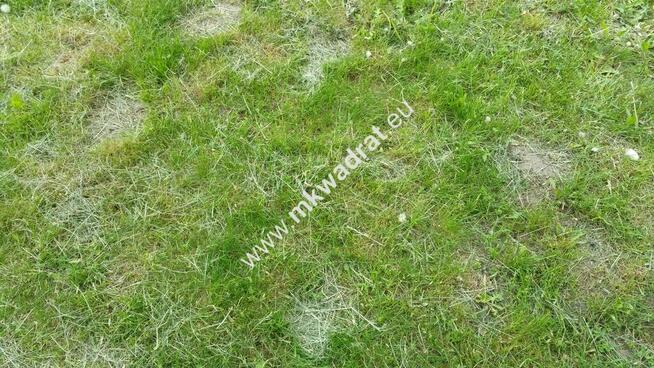 DZIAŁKA ROLNA -ok 20 ha