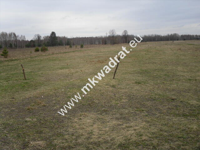 Piękna działka położona przy drodze asfaltowej.