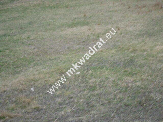 Piękna działka położona przy drodze asfaltowej.