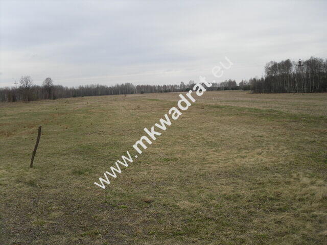 Piękna działka położona przy drodze asfaltowej.