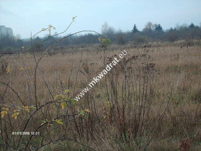 gratka dla dewelpera