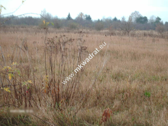 gratka dla dewelpera