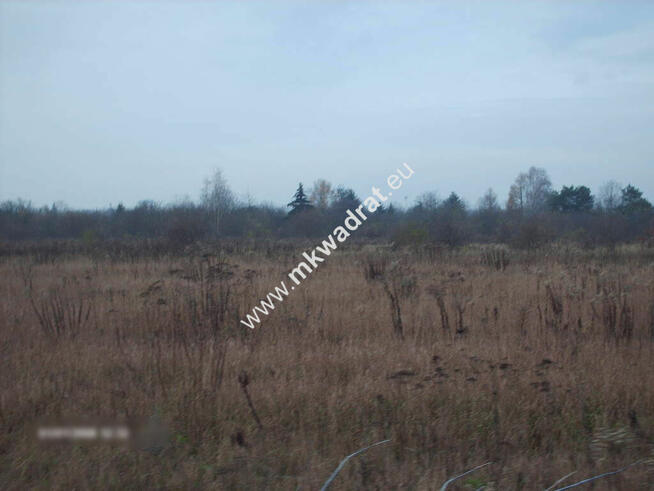 gratka dla dewelpera